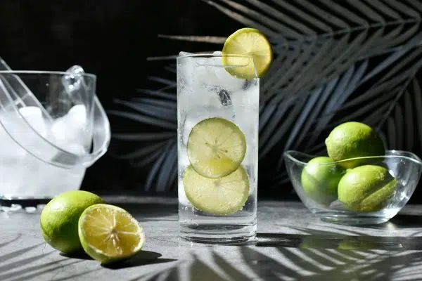 Gin Tonic